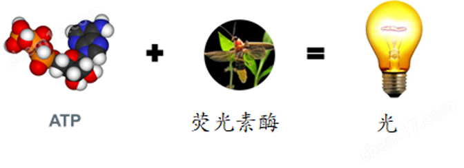 化工废水来水毒性预警仪